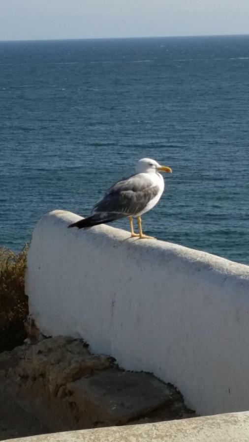 Algarve/Sra Da Rocha Lejlighed Porches  Eksteriør billede